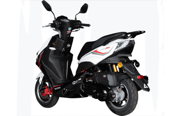 WANXIN FLASH 150 - Imagen de 4