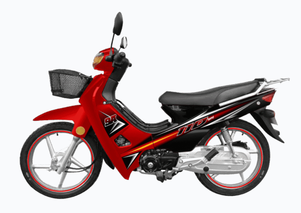 WANXIN WX 110-9A - Imagen de 3