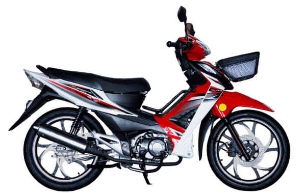 WANXIN WX 110-L8