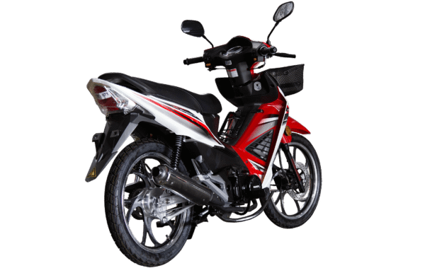 WANXIN WX 110-L8 - Imagen de 2