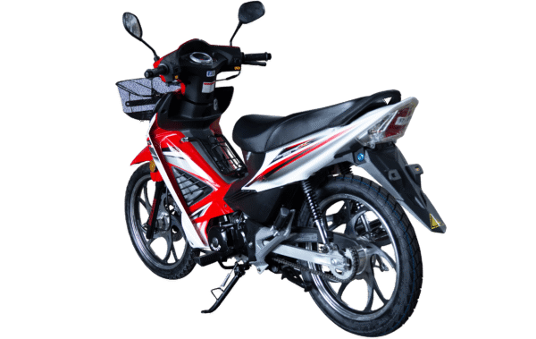WANXIN WX 110-L8 - Imagen de 3