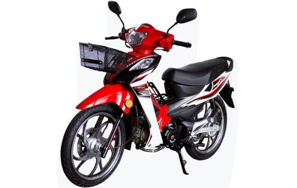 WANXIN WX 110-L8 - Imagen de 4