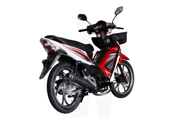 WANXIN WX 110-L8 - Imagen de 2