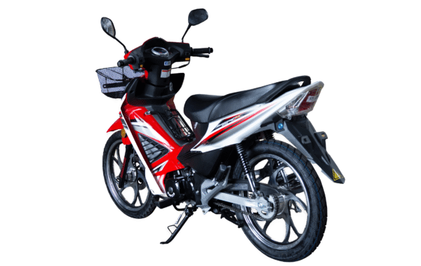 WANXIN WX 110-L8 - Imagen de 3
