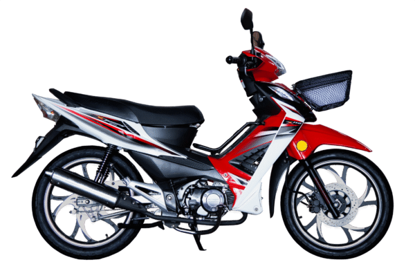 WANXIN WX 110-L8