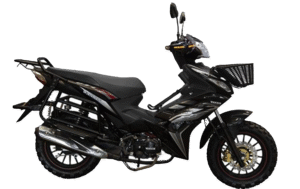 WANXIN WX 110-Z1