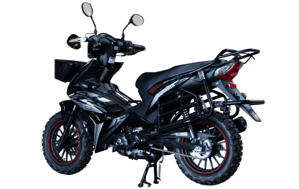 WANXIN WX 110-Z1 - Imagen de 2
