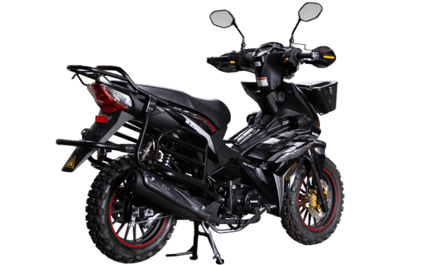 WANXIN WX 110-Z1 - Imagen de 4