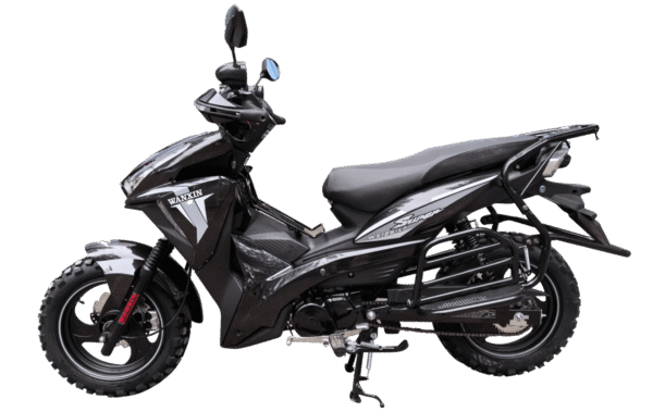 WANXIN WX 125-L7 - Imagen de 3