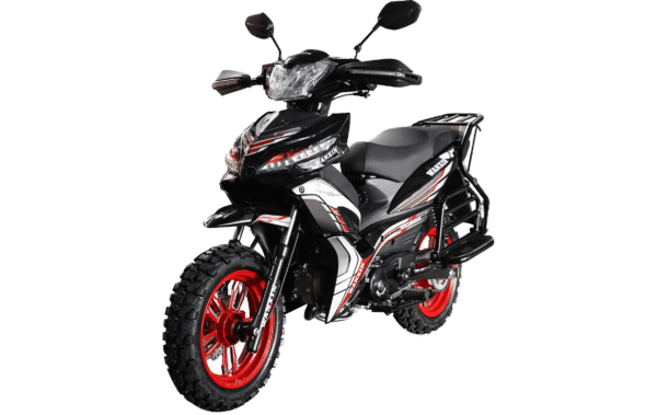 WANXIN WX 125-Z2 - Imagen de 6