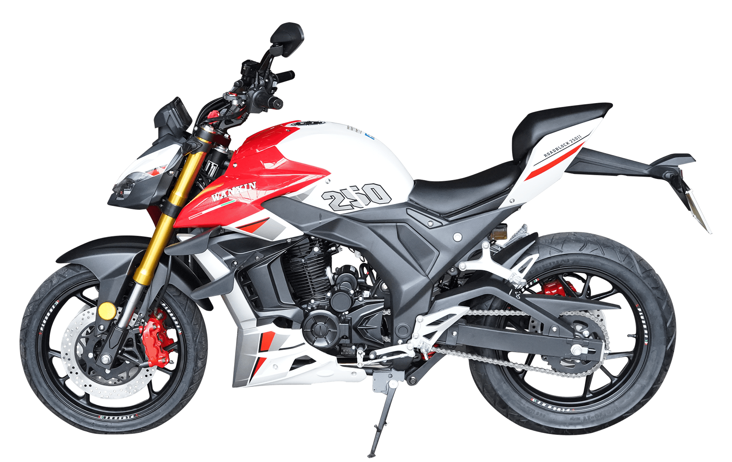 WANXIN ROADBLOCK 250 - Imagen de 6