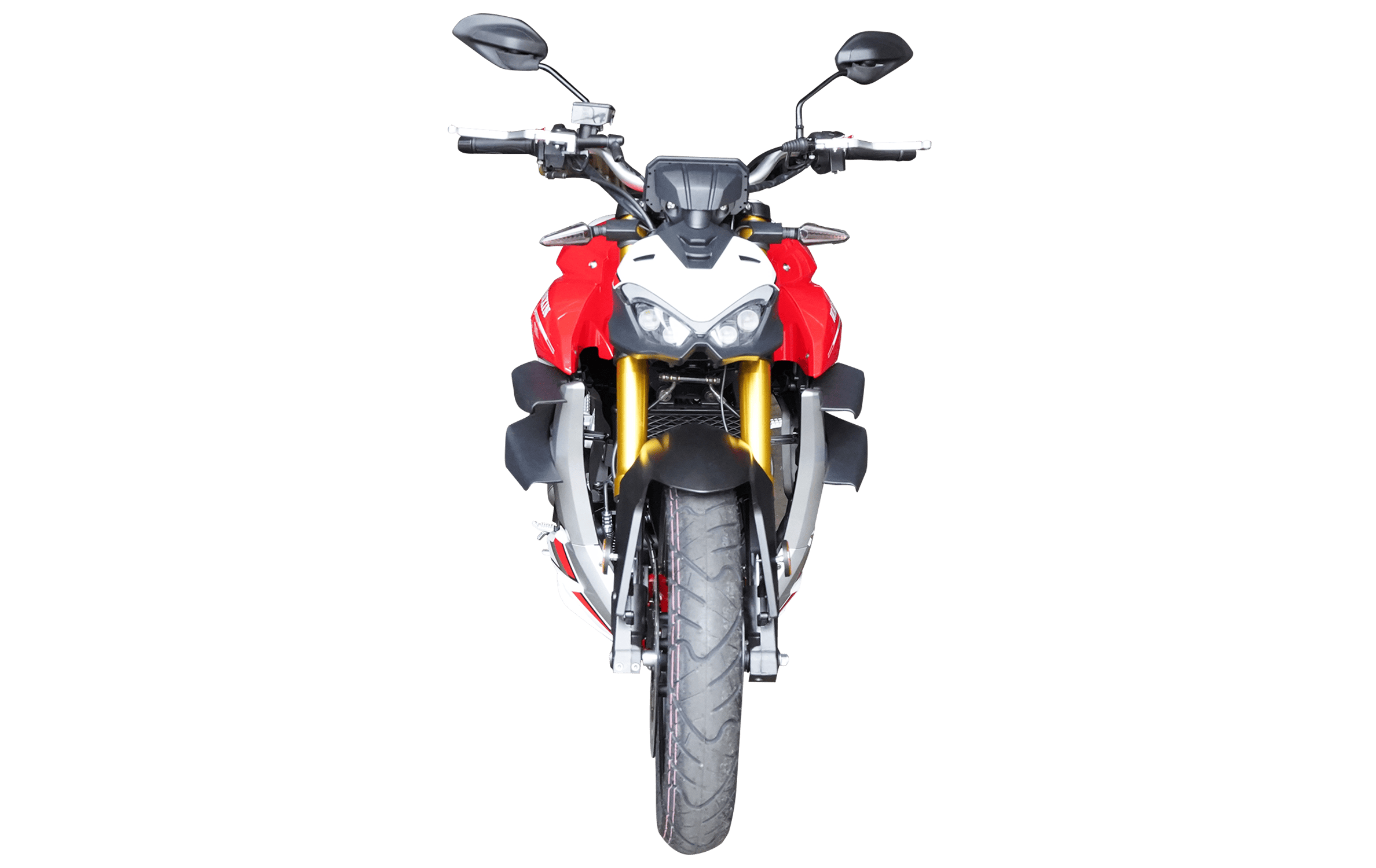 WANXIN ROADBLOCK 250 - Imagen de 7