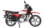 JCH TARKI 200