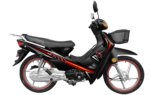 WANXIN WX 110-9A