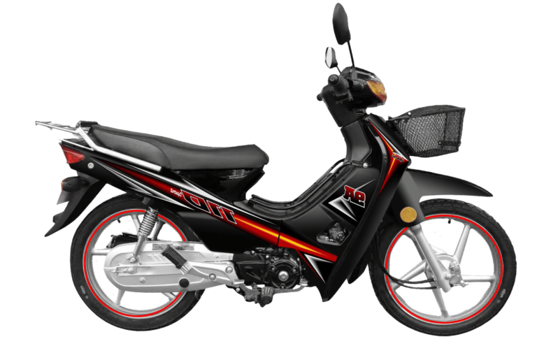 Moto semiautomática WANXIN WX 110-9A color negro 110cc