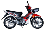 WANXIN WX 110-L8