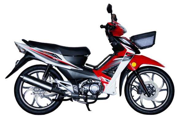 WANXIN WX 110-L8
