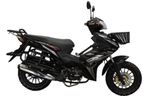 WANXIN WX 125-Z1